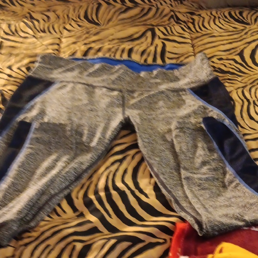 Women Gray and Blue Athletic Bottoms